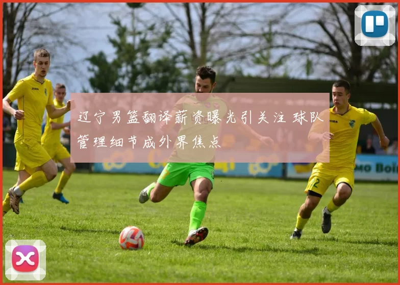 辽宁男篮翻译薪资曝光引关注 球队管理细节成外界焦点