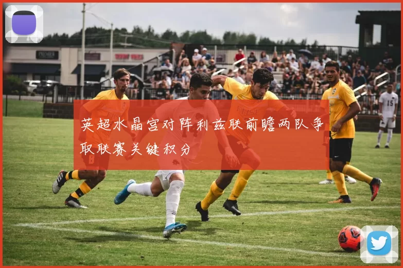 英超水晶宫对阵利兹联前瞻两队争取联赛关键积分